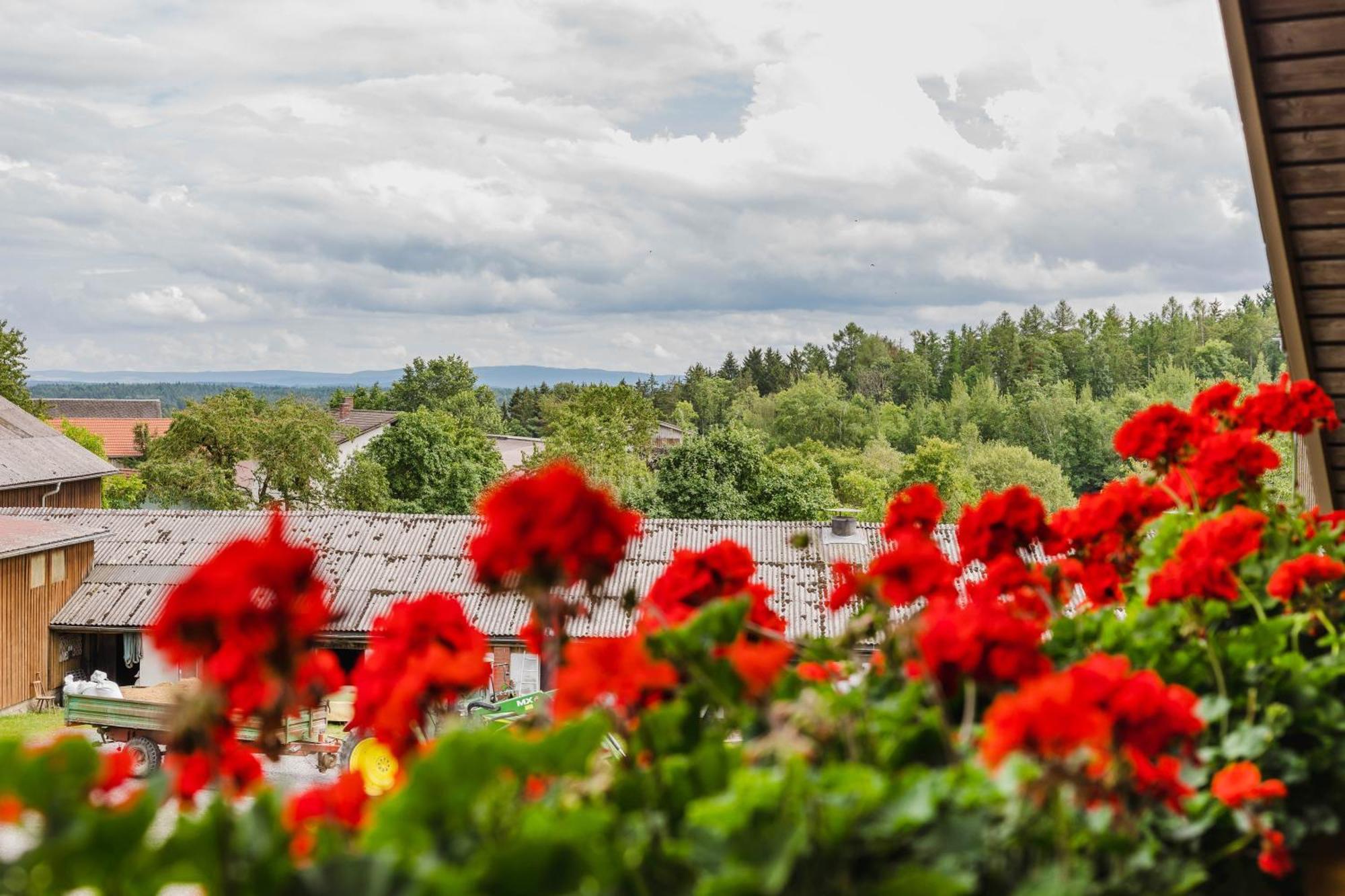 Ferienwohnung Baecher Wiesau Exteriör bild