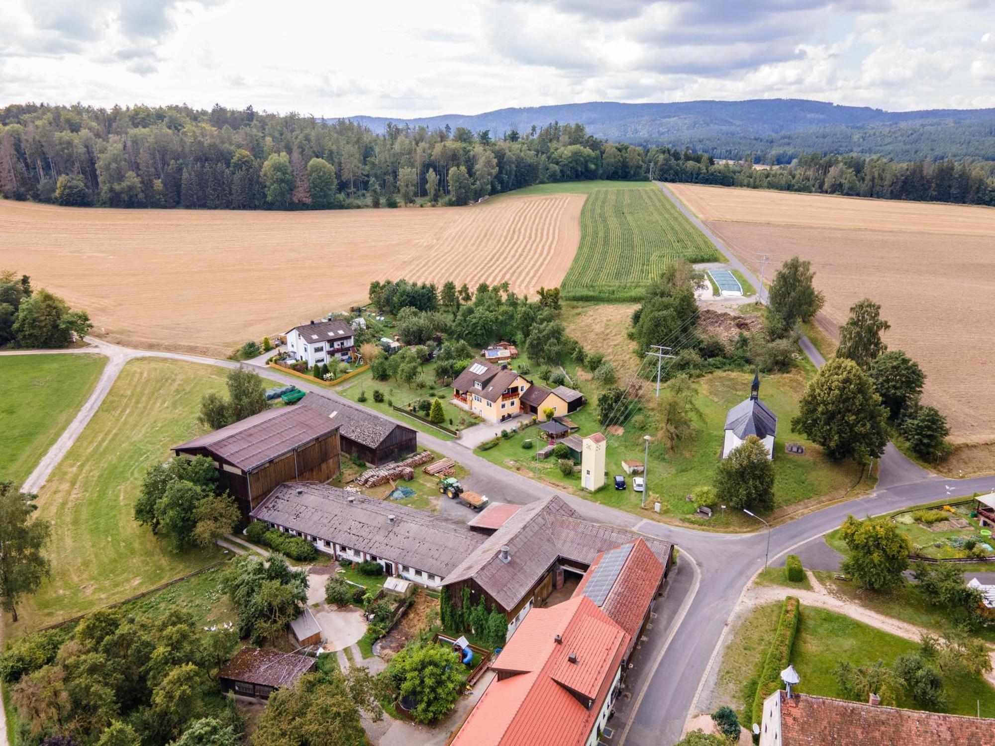 Ferienwohnung Baecher Wiesau Exteriör bild